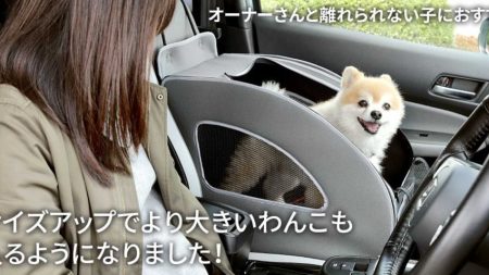 توسعه اکسسوری های ویژه سگ توسط هوندا