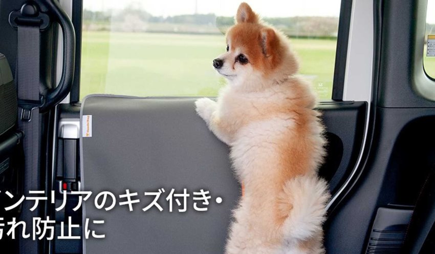 توسعه اکسسوری های ویژه سگ توسط هوندا